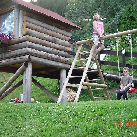 Haus Deutschmann Apartment Венс Екстериор снимка
